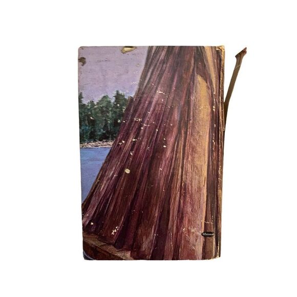 Huckleberry Finn by Mark Twain Hardcover Book - Picture 3 of 13